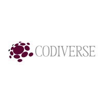 Codiverse logo - Similar company to Acom Trading, C.A.