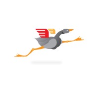 Doc Doc Goose