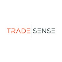 Trade Sense B.V. logo - Similar company to Mithais