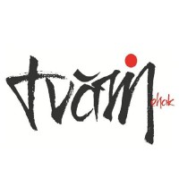 Tvam by Mehak logo - Similar company to Afamado