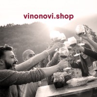Vinonovi Kereskedelmi Kft logo - Similar company to Anaroundthewine