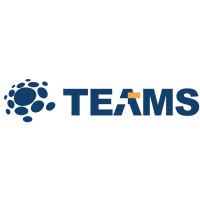 Teams Solutions LLP logo - Similar company to Teamsolution