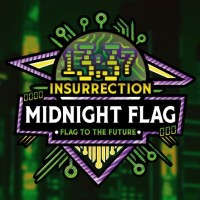 Midnight Flag CTF logo - Similar company to Hack@Sec Official