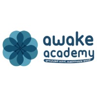 Awake Academy logo - Similar company to Klip