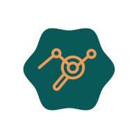 Monitoring Gurus logo - Similar company to Auctus It