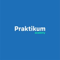 Praktikum Academy logo - Similar company to Wow Portals - Say Wow! To Your Website