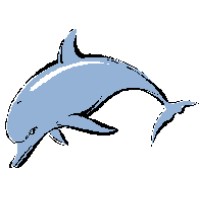DOLPHIN COAST SECURITY SERVICES logo - Similar company to Lifetime $Olutions