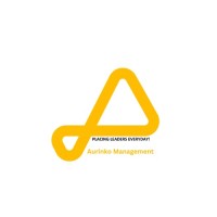 Aurinko Management India Pvt. Ltd. logo - Similar company to Jk Infra & Management Systems (Jkims)