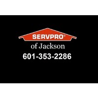Servpro of Jackson & Madison County logo - Similar company to Servpro Of Brandon