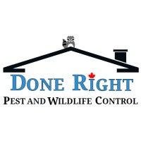 Done Right Pest and Wildlife Control logo - Similar company to Proactively Social