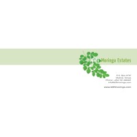 Kilifi Moringa Estates Ltd logo - Similar company to Milly Fruits Processors Ltd
