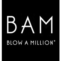 BLOW A MILLION PRODUCTIONS (BAM) LIMITED logo - Similar company to Mindably