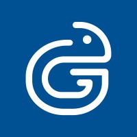 Gekko Agencia logo - Similar company to Virtually Present