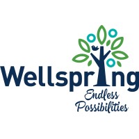 Wellspring logo - Similar company to Wellspring™