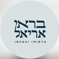 Berei Ariel logo - Similar company to Edventure.Il