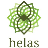 Helas, Inc. logo - Similar company to Surfactory