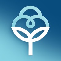 Cotton Brazil logo - Similar company to Abrapa - Associação Brasileira Dos Produtores De Algodão