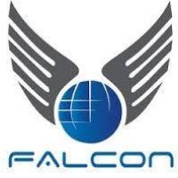 Falcon Freight PVT.LTD logo - Similar company to Falcon Freight Ltd