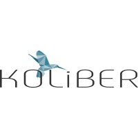koliber sas logo - Similar company to Multis 36