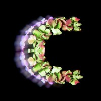 CASHMagazine logo - Similar company to Beursinside