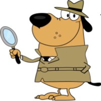 Hound Dog Home Inspections