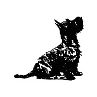 Black Dog Deli Foods Limited logo - Similar company to Aquaplus Uk