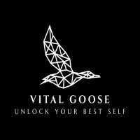 Vital Goose logo - Similar company to Supply Chain Consulting Group