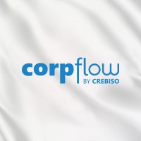 CorpFlow logo - Similar company to Statare Solutions