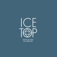 Icetop - GhiaccioPuro logo - Similar company to Ice Cube Srl
