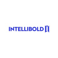 Intellibold logo - Similar company to Indigosoft
