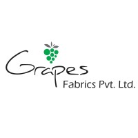 GRAPES FABRIC PVT LTD logo - Similar company to Versasia Infosoft Private Limited