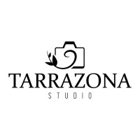 Tarrazona Studio logo - Similar company to Revelium Academy