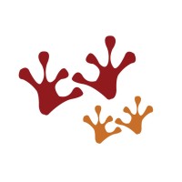 Redfrox Info Solutions Private Limited logo - Similar company to Redfire Creations