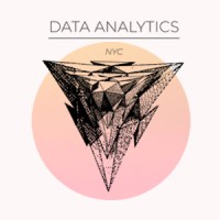 Data Analytics NYC logo - Similar company to Data & Analytics Llc