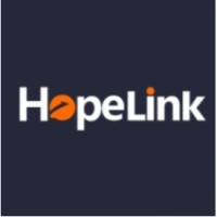 Hope Link International Logistics Co., Ltd logo - Similar company to World Ex