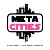 MetaCities logo - Similar company to Black Pride Network