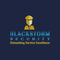 Blackstorm logo - Similar company to Blackstorm Security