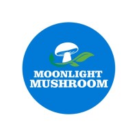 Moonlight Mushroom logo - Similar company to Metal Tree