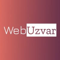 WebUzvar logo - Similar company to Me Team