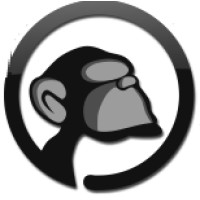 Stacktrace SRL logo - Similar company to Ifelse
