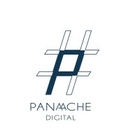 Panaache Digital logo - Similar company to Dot Designs