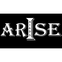 KL ARISE logo - Similar company to Dr.Computer.In It And Ecom Services