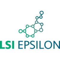 LSI Epsilon logo - Similar company to Videm