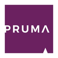 PRUMA Inteligência Integrada logo - Similar company to Trust Solutions Group