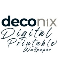 Deconix Paper logo - Similar company to Serendipity Project Team