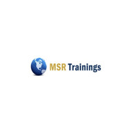 MSR Trainings logo - Similar company to 51Testing