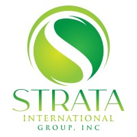 Strata International Group Inc logo - Similar company to 4Line Studio