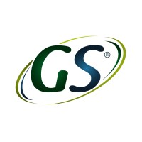 GS de México logo - Similar company to Filtro Max