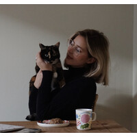Sabrina Nordlund | Digital Creator logo - Similar company to Digital Creator Agency