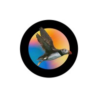 Wild Islands logo - Similar company to Guernsey Biological Records Centre